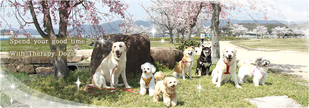 Spend your good time　With Therapy Dogs